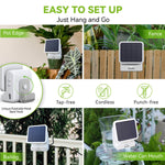 solar irrigation system
